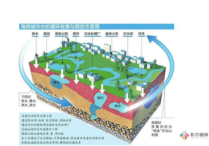 海綿城市建設(shè)理念下的市政道路設(shè)計技術(shù)指導